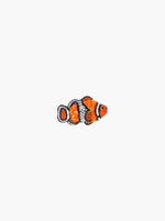 Clownfish Small - Multi