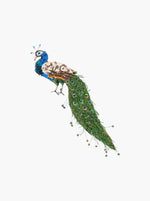 Jewelled Peacock