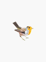 Robin Red Breast - Multi