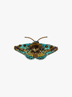 Lanipes Moth